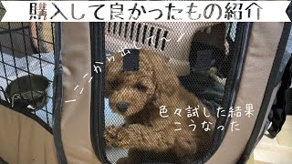 #3【買って良かった犬用品】色々ある犬グッズの中から厳選した商品のみをご紹介！