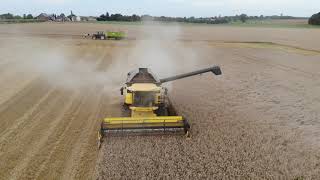 Moisson L 2021 4K