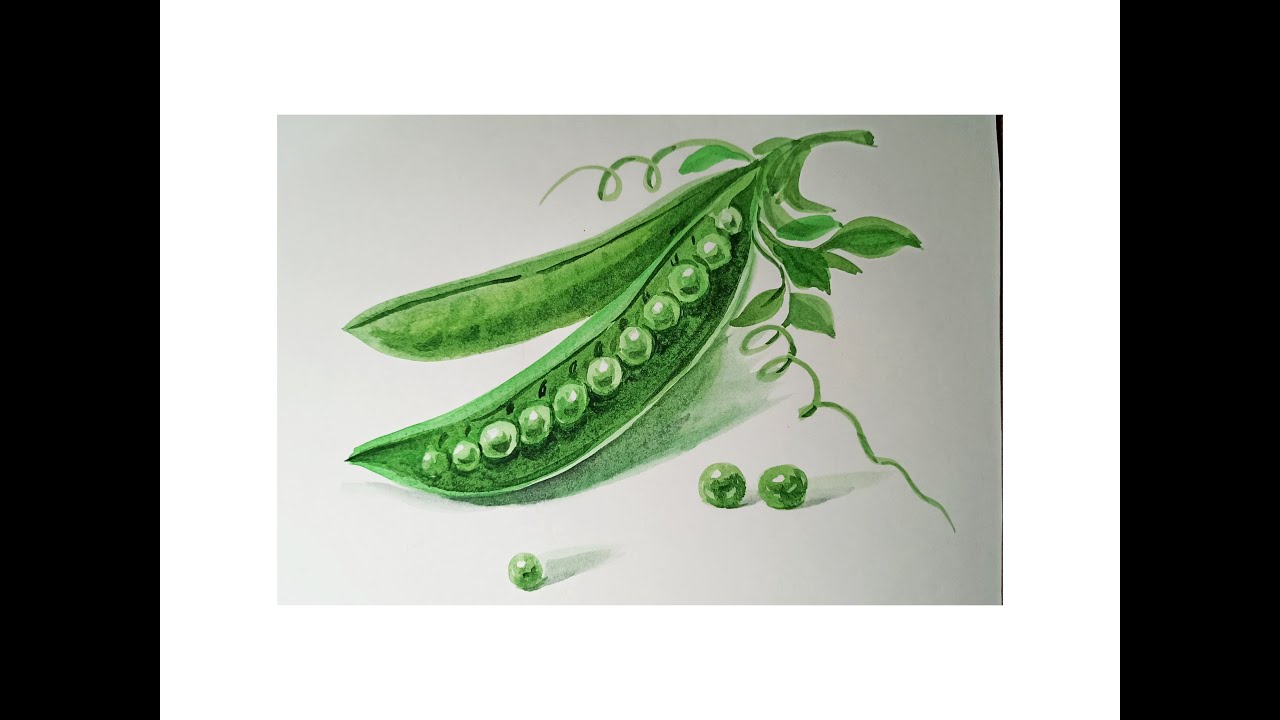 Как нарисовать гороха стрела