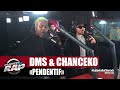 Dms feat chanceko pendentif planterap