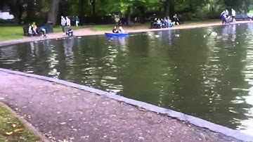 Disappearing (then reappearing) duck!