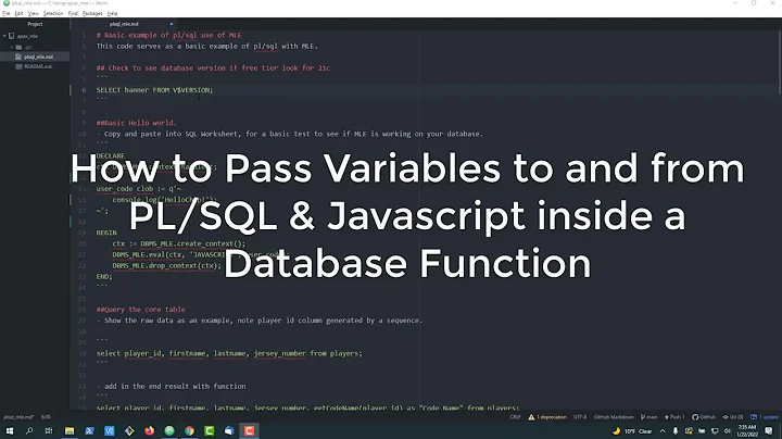 How to Pass Variables from PL/SQL to Javascript inside a Function