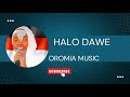 Halo Dawe Ya Shoola Lakkii Ya Shoole Lakkii Nama Quba Qofa Hamartii Harka Kankee Na Jala Me Ko Na S Halo Dawe Ya Shoola Lakkii Ya Shoole Lakkii Nama Quba Qofa Hamartii Harka Kankee Na Jala Me Ko Na S