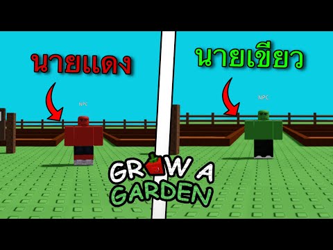นายเเดงเเละนายเขียว Roblox Grow a Garden