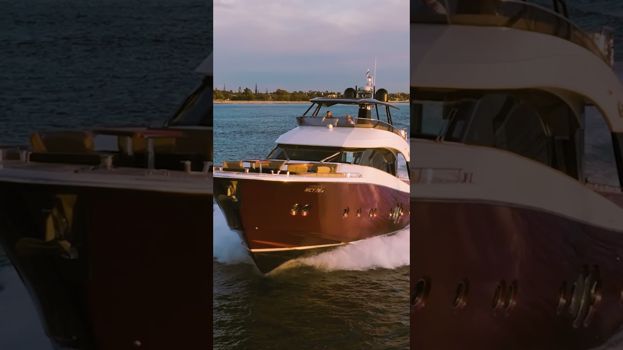 ⁣Gineico 50th Anniversary
