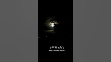 فإنما يسرناه بلسانك لتبشر به المتقين 🤍 || القارئ شريف مصطفى || اكتب شيئ تؤجر عليه