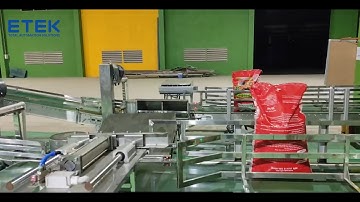 HỆ THỐNG XẾP PALLET TỰ ĐỘNG SẢN LƯỢNG 1200 BAO/ GIỜ | PALLETIZER SYSTEM | ETEK