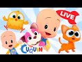 🔴 LIVE 🔴 Learn colors, numbers and shapes with Cuquín | Educational videos for kids
