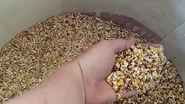 Check out the quality difference in this chicken feed!!  WOW!!