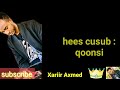 Xariir Axmed Heesti Qoonsi Lyrics Daawasho Wngsan 2019