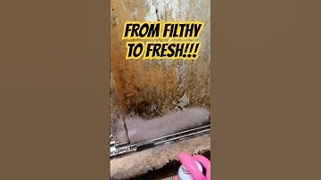 The World’s Best Cleaner Has Arrived! 🤩🙌🏻 #extremecleaning #cleantok #transformation #makeover