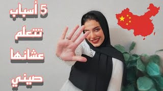 ليه تتعلم صيني | Why should you learn Chinese
