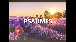 Psaumes (Psalms) French | Good News | Audio Bible screenshot 3