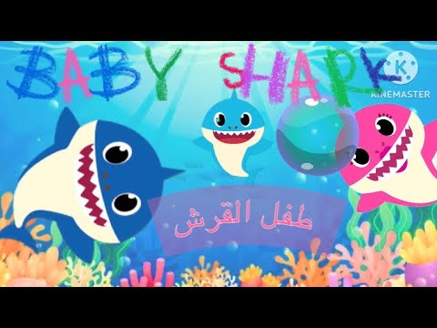 طفل القرش   مغامرة جديدة قصة حكايات مميزه شخللة قصص اطفال حكايات اطفال