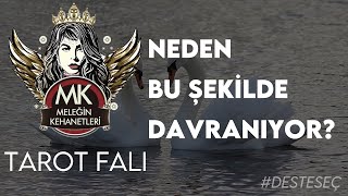 NEDEN BU ŞEKİLDE DAVRANIYOR? - TAROT FALI #DESTESEÇ