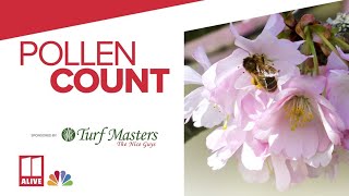 Thursday, April 25 north Georgia pollen forecast