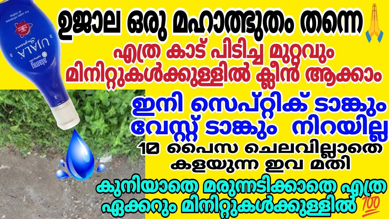 ഒരു തുള്ളി ഉജാല മതി | 100 വർഷമായാലും സെപ്റ്റിക് ടാങ്കും വേസ്റ്റ് ടാങ്കും നിറയുകയില്ല | മുറ്റം ക്ലീൻ 