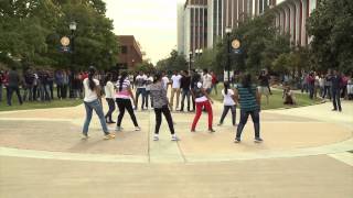 Behind the Scenes: Bollywood Flash Mob