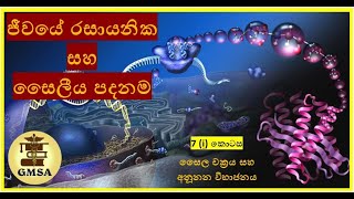 උසස් පෙළ ජීව විද්‍යාව, ජීවයේ රසායනික සහ සෛලීය පදනම හත්වන කොටස, by Kulothma Siriwardane