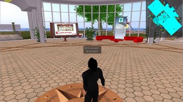 TeCoLa - How to set the Singularity viewer