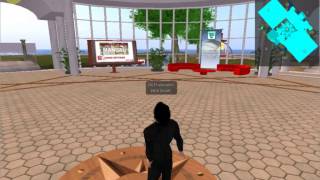 TeCoLa - How to set the Singularity viewer Profile