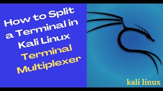 Famous Kali Linux Terminal Multiplexer | How to Split a Terminal Profile