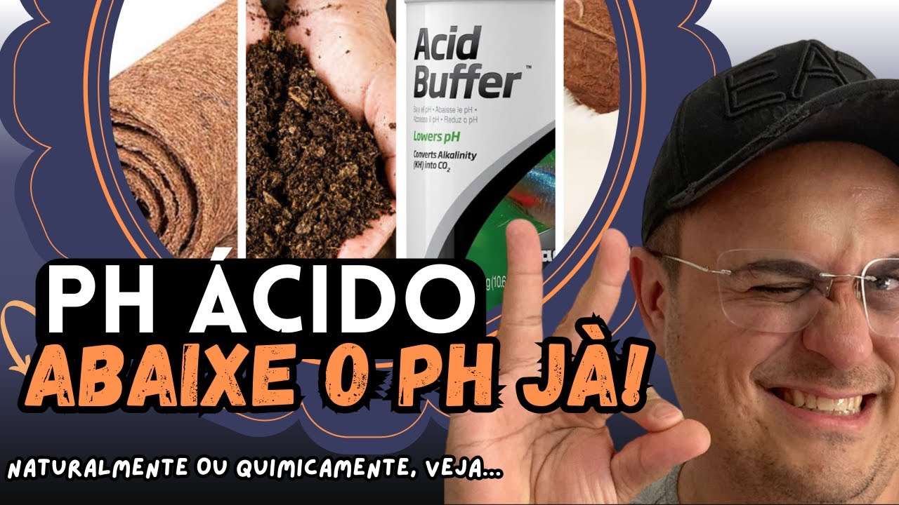 COMO ACIDIFICAR A ÁGUA DO AQUÁRIO E MANTER SEUS PEIXES SAUDÁVEIS