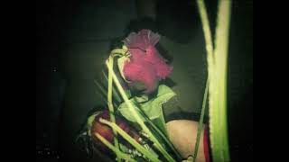 Gutterflower - Impetigo Demo