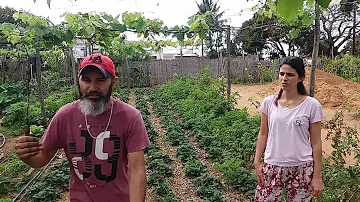 O que quer dizer nunca Segará?