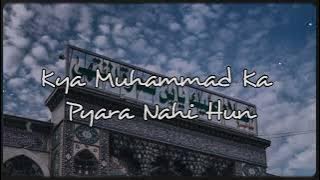 kya Muhammad PBUH ka pyara Nahi hun Slowed And Reverb #hussainiat #alishanawar #alijee