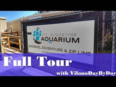 St Augustine Aquarium - HqDefault