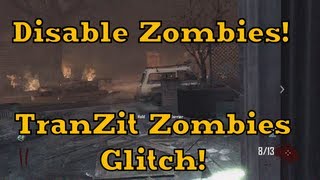 No Zombies Spawn Glitch! - Black Ops 2 Glitches - Online Tutorial