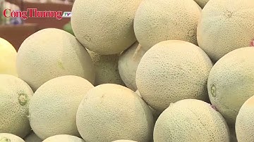 CUC XTTM KET NOI GIAO THUONG THUC DAY XUAT KHAU