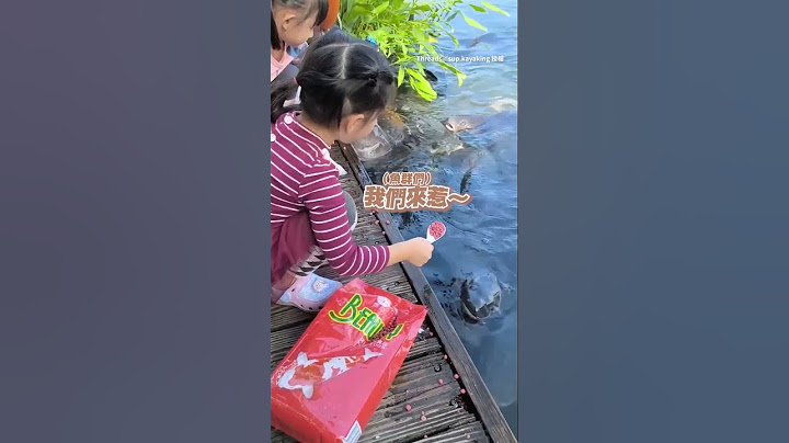【沒有魚可以在我手上餓S】妹妹霸氣挖一大匙飼料往魚嘴裡放XD #Shorts