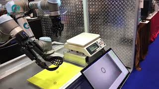 Universal Robots working with polishing machine for jewelry industrial