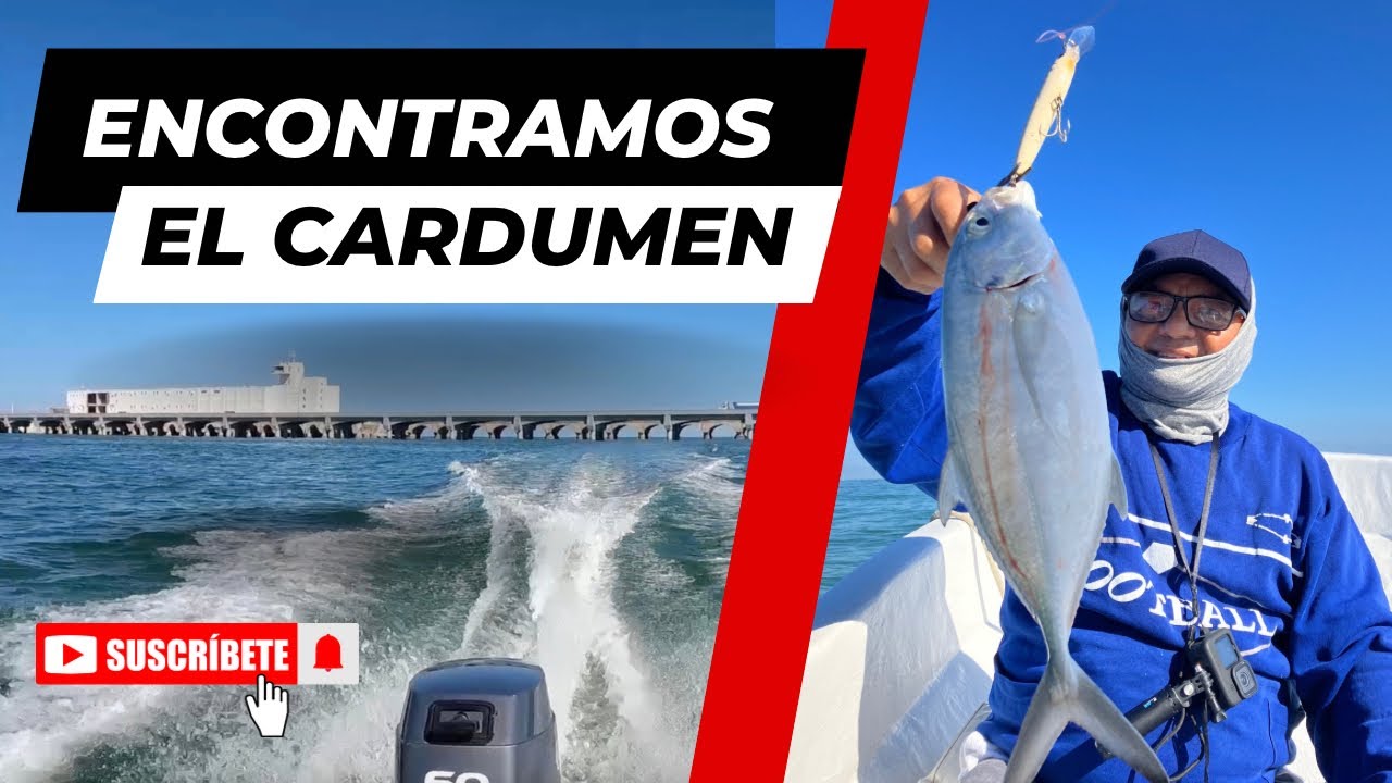 ENCONTRAMOS UN CARDUMEN DE JURELES Y BONITOS - YouTube