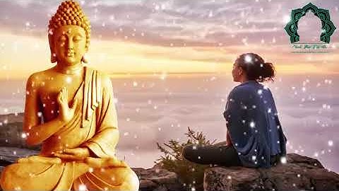 Đừng khóc vì cuộc đời bạn vất vả khổ đau tuyệt vọng Nghe Lời Phật dạy tâm ý thanh tịnh bớt khổ đau