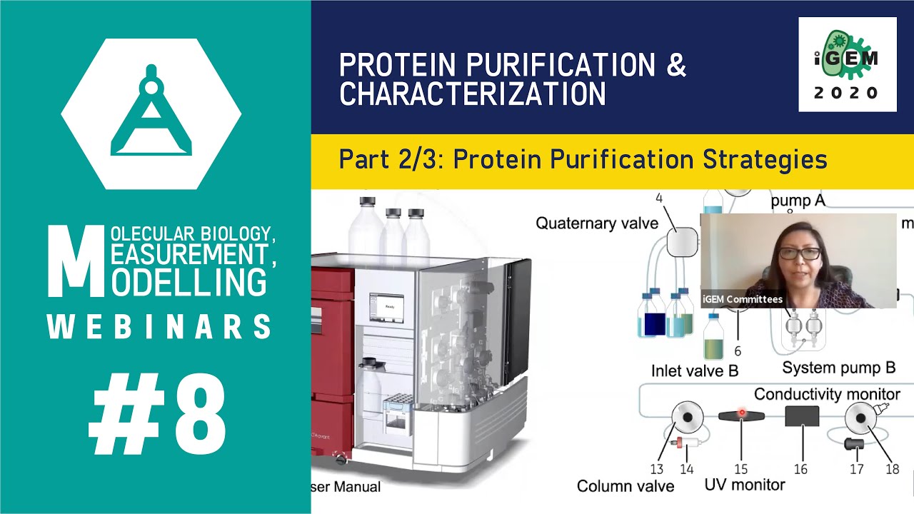 Week #8: Protein Purification and Characterization 2/3: Protein Purification Strategies