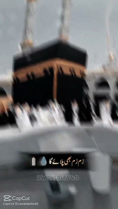 https://vm.tiktok.com/ZNdQ8dkrt/