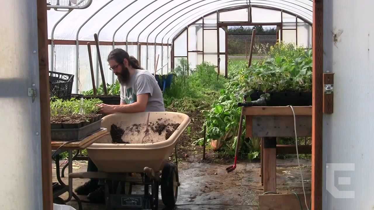 Excelsior Farm YouTube