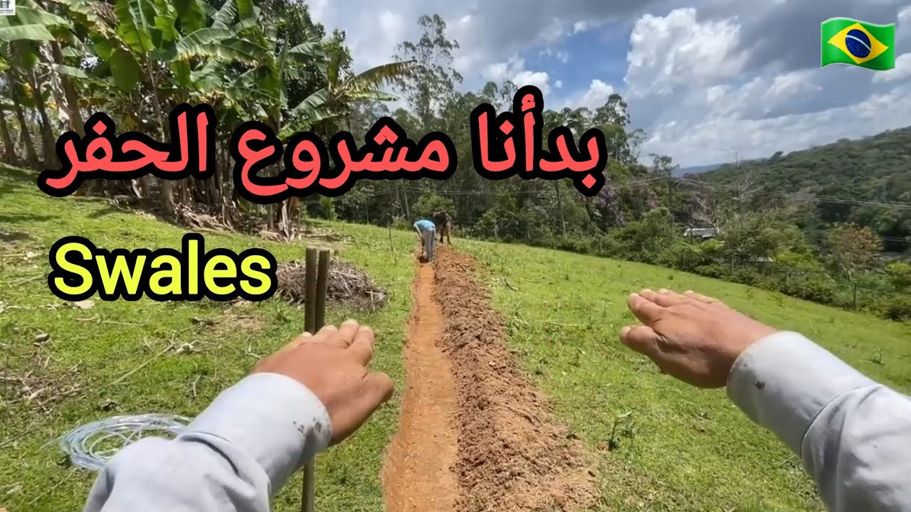 تجهيز حواجز مياة الأمطار لزراعة أشجار القهوا