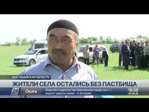 Без пастбища остались