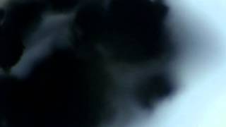 Carbon black 2.avi