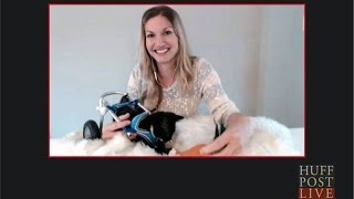 Tiny Kittens Shelly & Cassidy on HuffPost Live