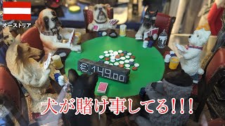 ヨーロッパ旅2019その38 ウィーンで朝散歩してから電車で空港へ、旅の最終日です（オーストリア）【無職旅/海外旅行のVLOG】