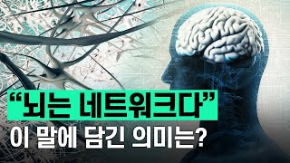 [핫클립] “뇌는 네트워크다” 이 말에 담긴 의미는? / YTN 사이언스