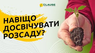 ВСЕ ПРО ДОСВІЧУВАННЯ РОЗСАДИ!