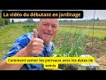 La vido du dbutant en jardinage   comment semer les poireaux  avec les dates de semis 