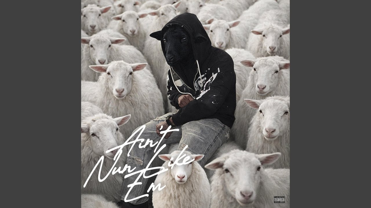 Watch WAWA on YouTube Watch WAWA on YouTube