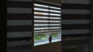 Motorized Blinds Pt.2